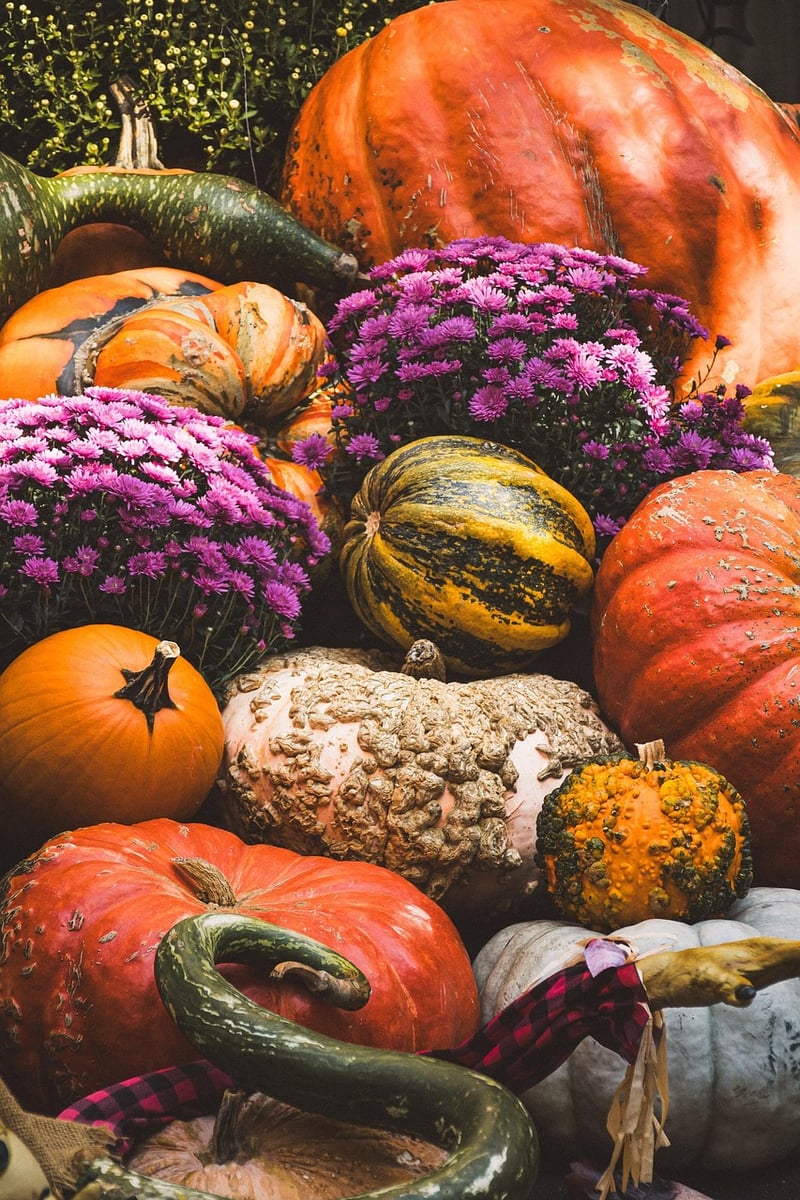 Fall harvest tips