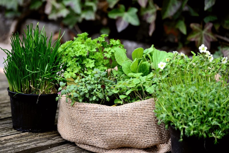 Vertical Herb Garden