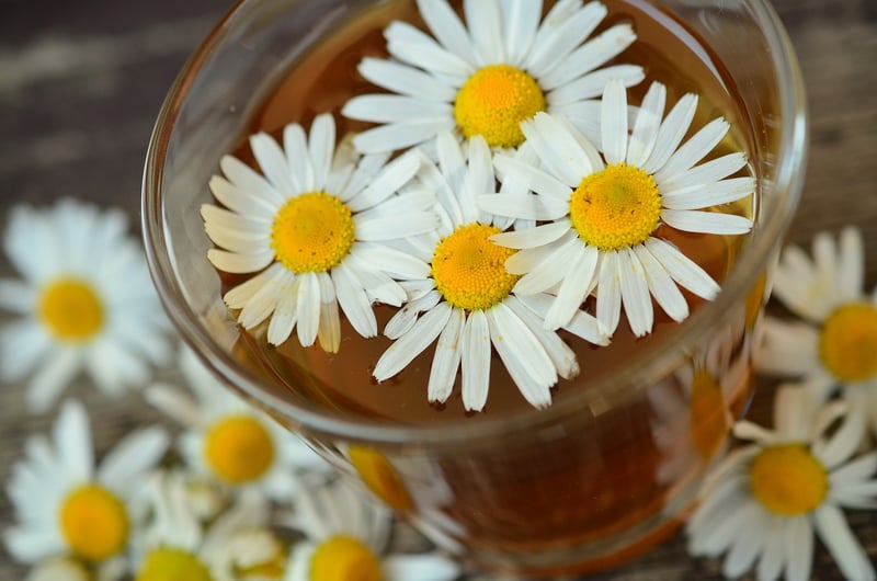 Herbal Tea Garden