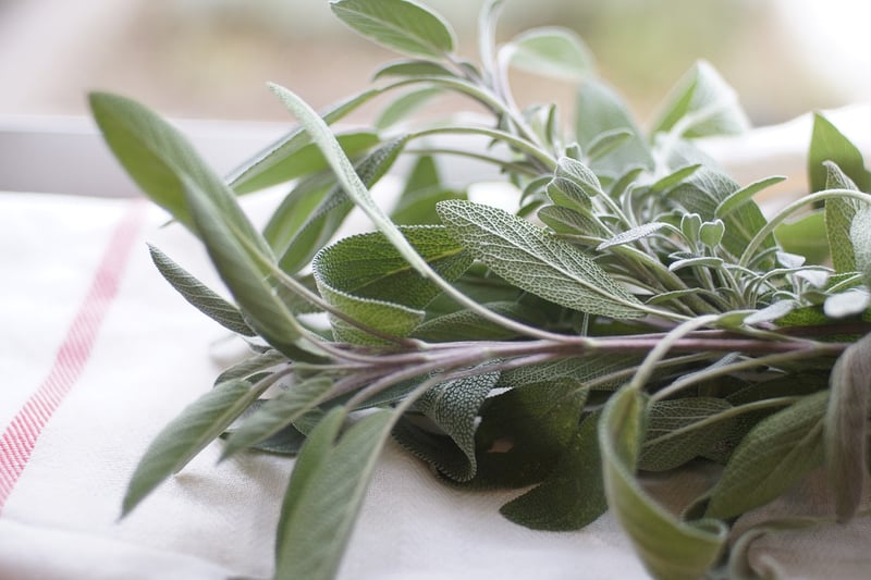 Indoor Herb Garden